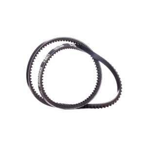 CORREA ALTERNADOR COASTER